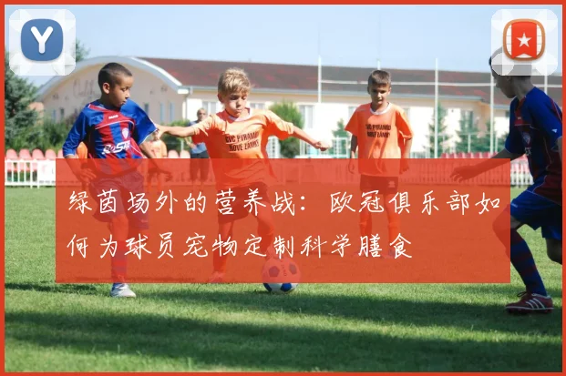 绿茵场外的营养战:欧冠俱乐部如何为球员宠物定制科学膳食