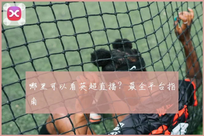 哪里可以看英超直播？最全平台指南