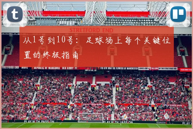 从1号到10号:足球场上每个关键位置的终极指南