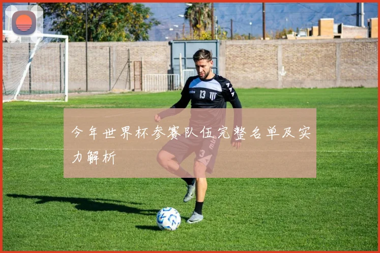 今年世界杯参赛队伍完整名单及实力解析