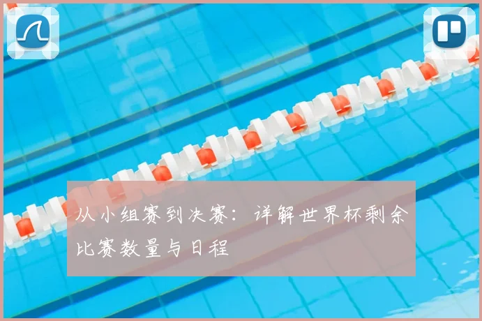从小组赛到决赛：详解世界杯剩余比赛数量与日程