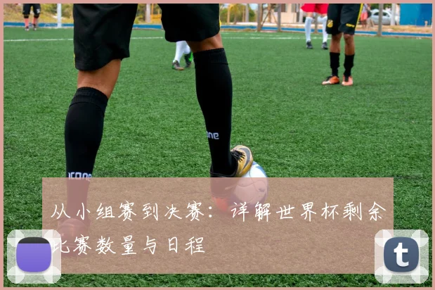 从小组赛到决赛：详解世界杯剩余比赛数量与日程