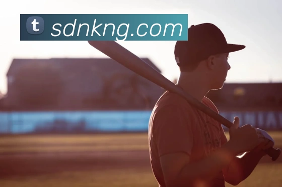 熊猫体育中国官方网站平台生态图